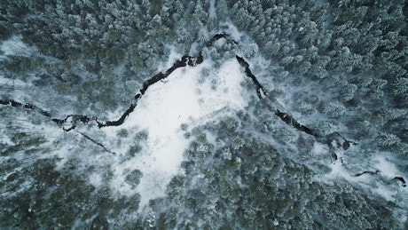 Winter forest from above.