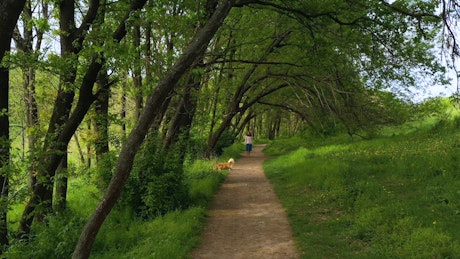 Woman and her dog working through a forest path.