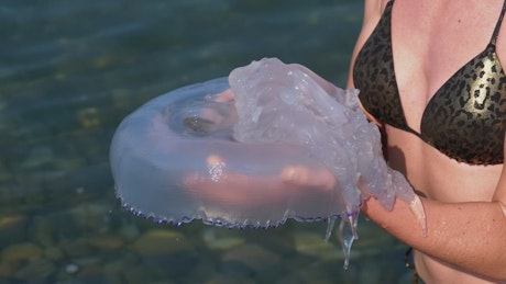 Woman holding a large jellyfish.