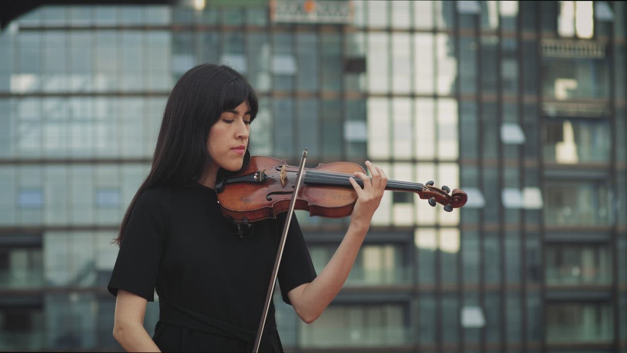 Download the Best Violin Videos Mixkit