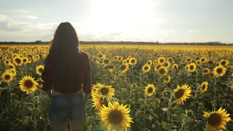 Woman standing in a field of Sunflowers.