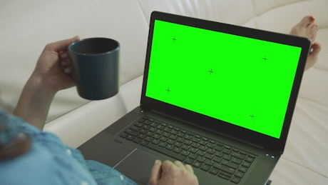Woman with greenscreen laptop for web demo.