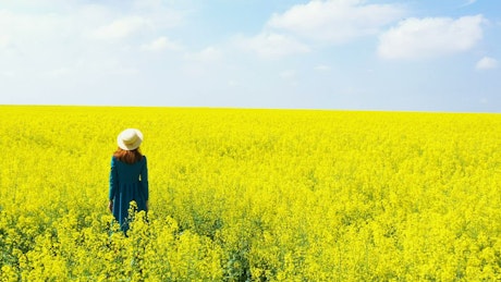 Woman with her arms up in the flower field.