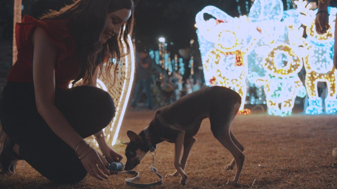 ⁣Women feeding a puppy in a Chri LIVEDRAW stmas park at night