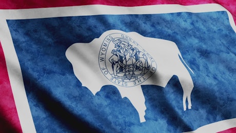 Wyoming State flag.