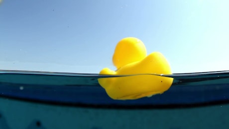 Yellow rubber duck in water.