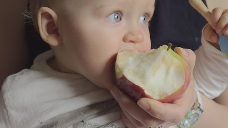 正在吃苹果的小婴儿