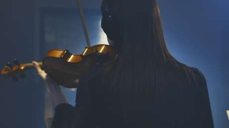 Download the Best Free Violin Videos | Mixkit